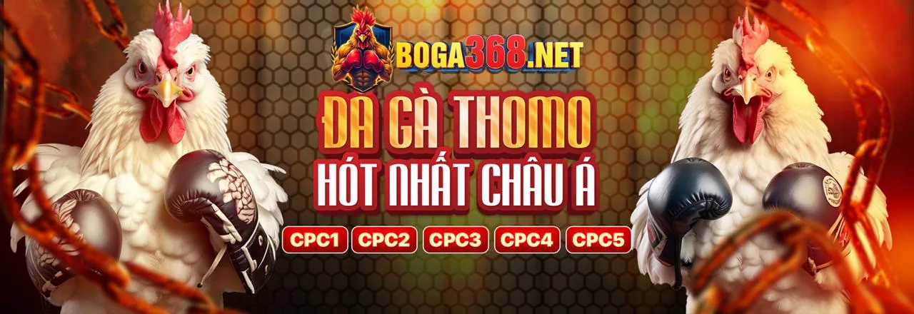 Bộ sưu tập trò chơi casino EV99 VIP